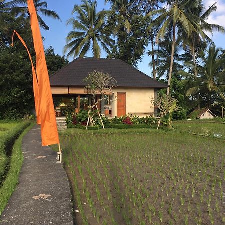 Puri Raya Villa Убуд Экстерьер фото