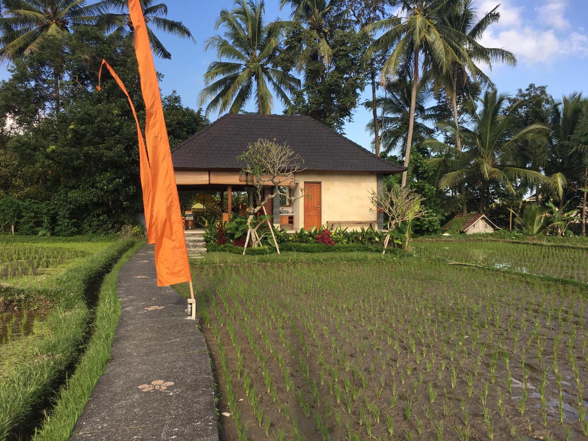 Puri Raya Villa Убуд Экстерьер фото
