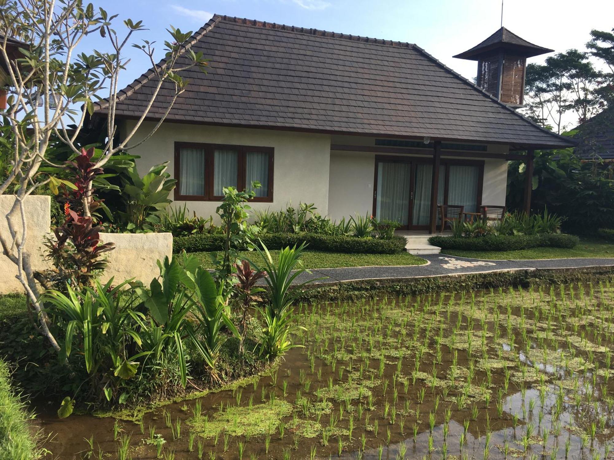 Puri Raya Villa Убуд Экстерьер фото