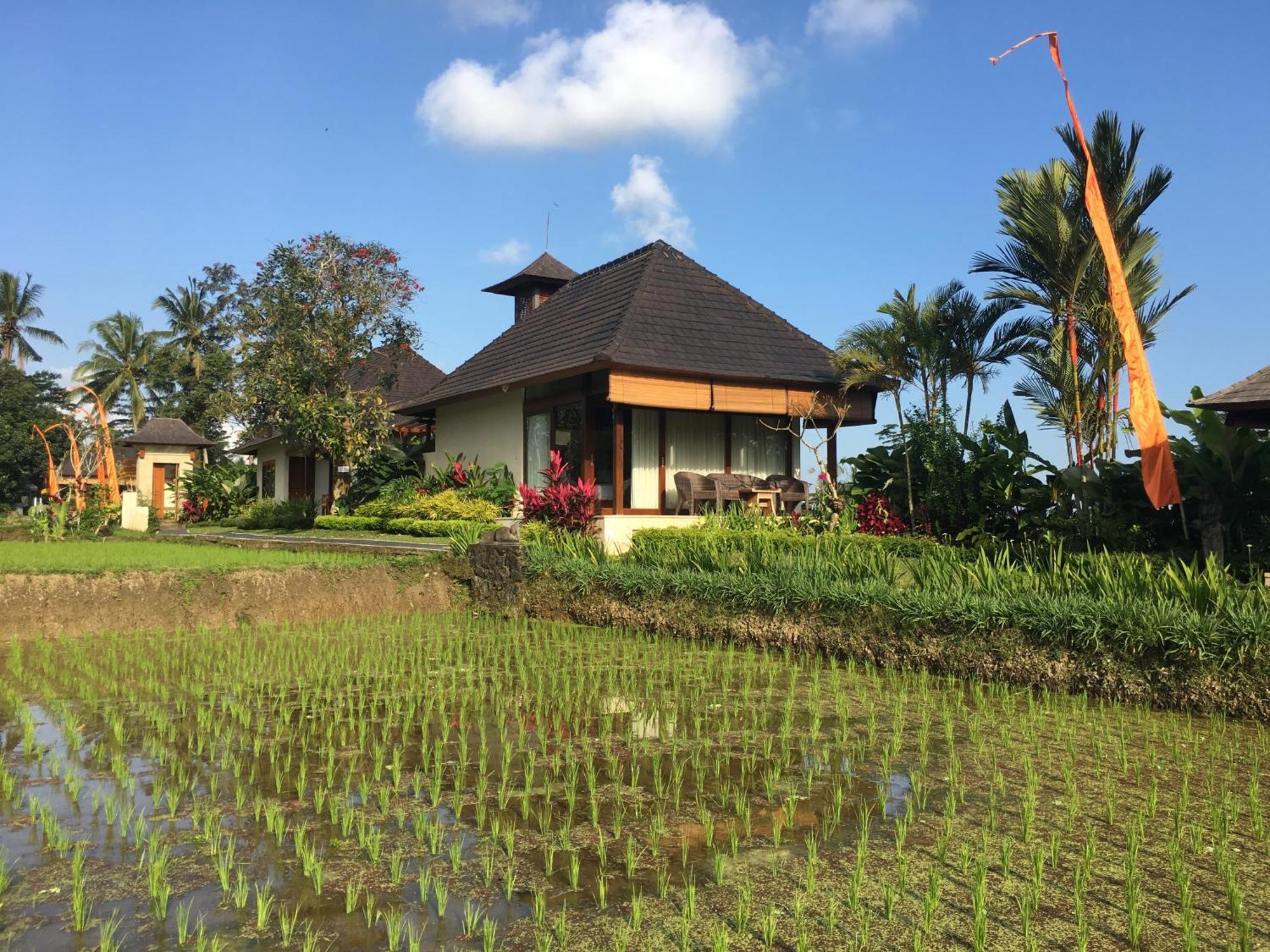 Puri Raya Villa Убуд Экстерьер фото