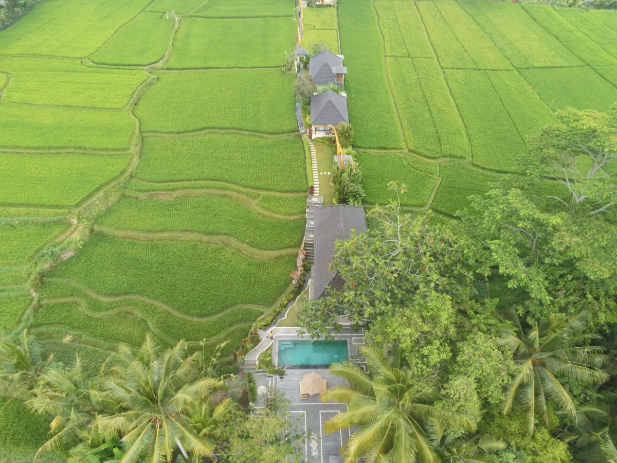 Puri Raya Villa Убуд Экстерьер фото