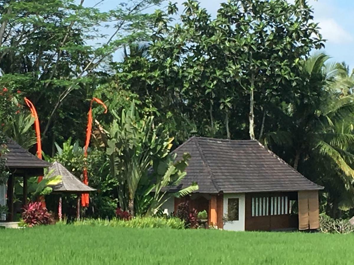 Puri Raya Villa Убуд Экстерьер фото