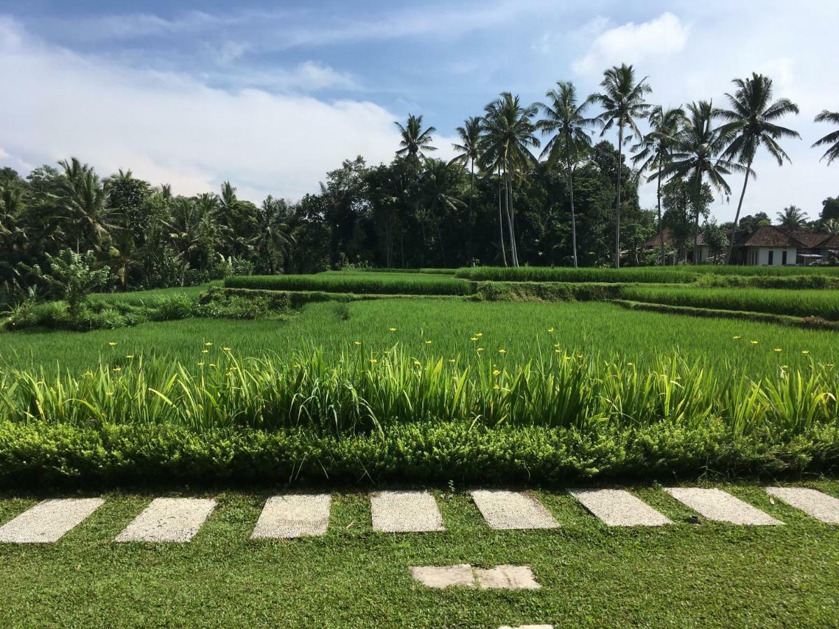 Puri Raya Villa Убуд Экстерьер фото