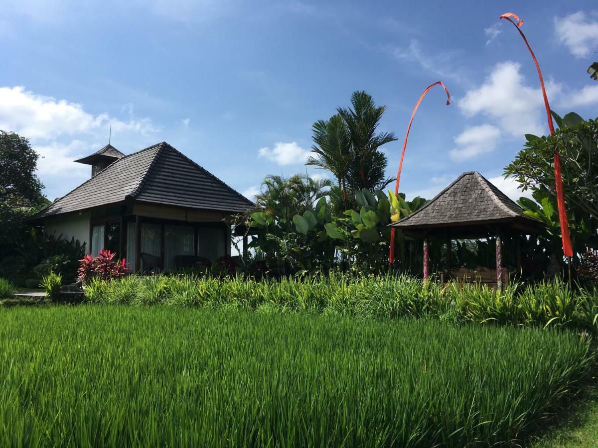 Puri Raya Villa Убуд Экстерьер фото