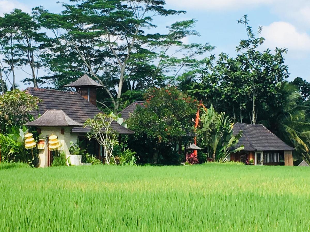 Puri Raya Villa Убуд Экстерьер фото