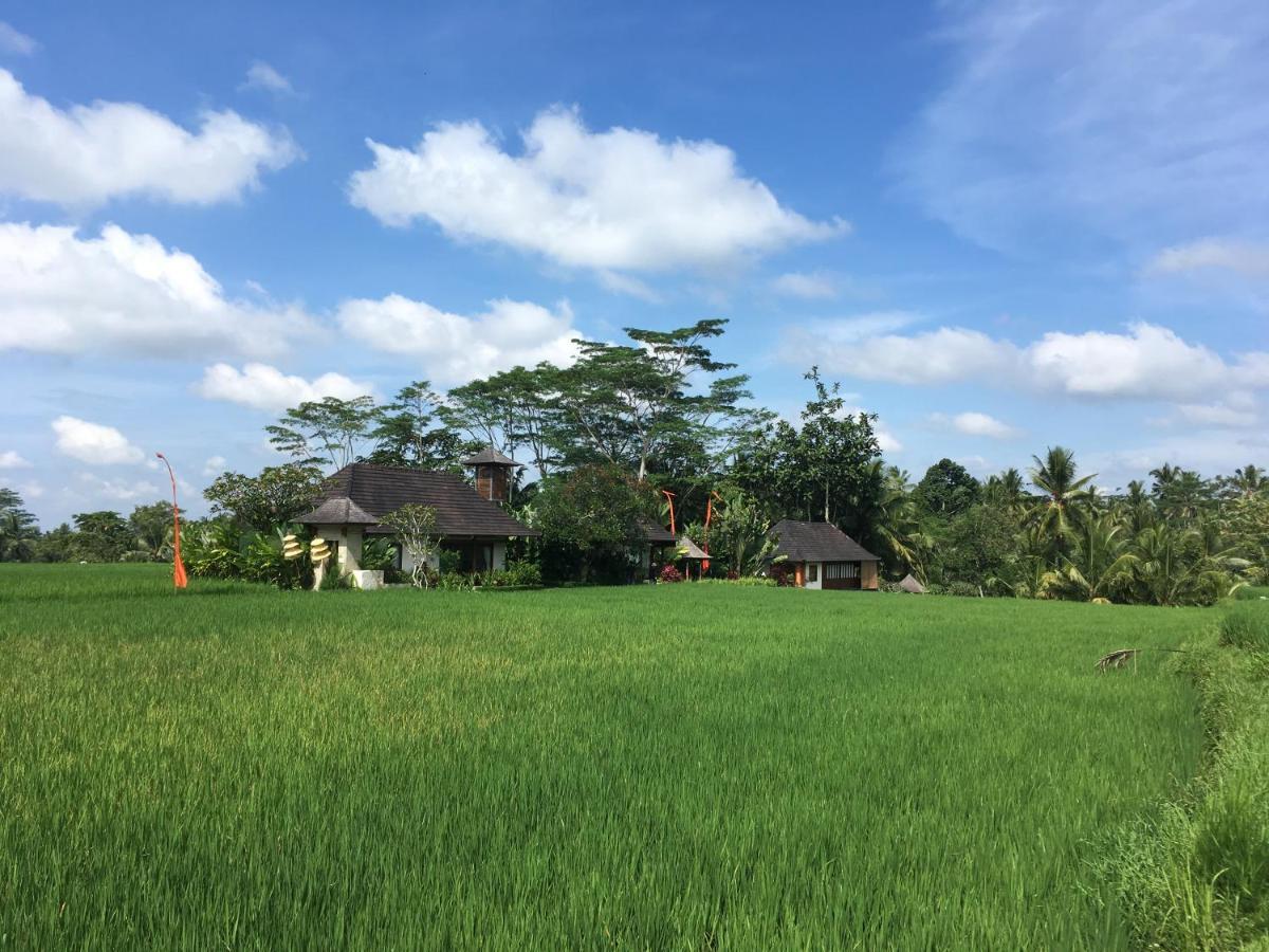 Puri Raya Villa Убуд Экстерьер фото
