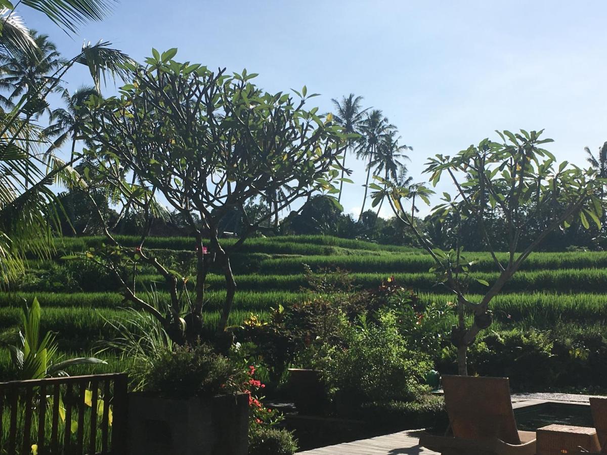 Puri Raya Villa Убуд Экстерьер фото