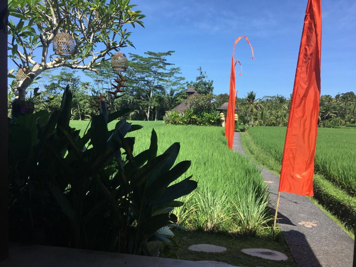 Puri Raya Villa Убуд Экстерьер фото