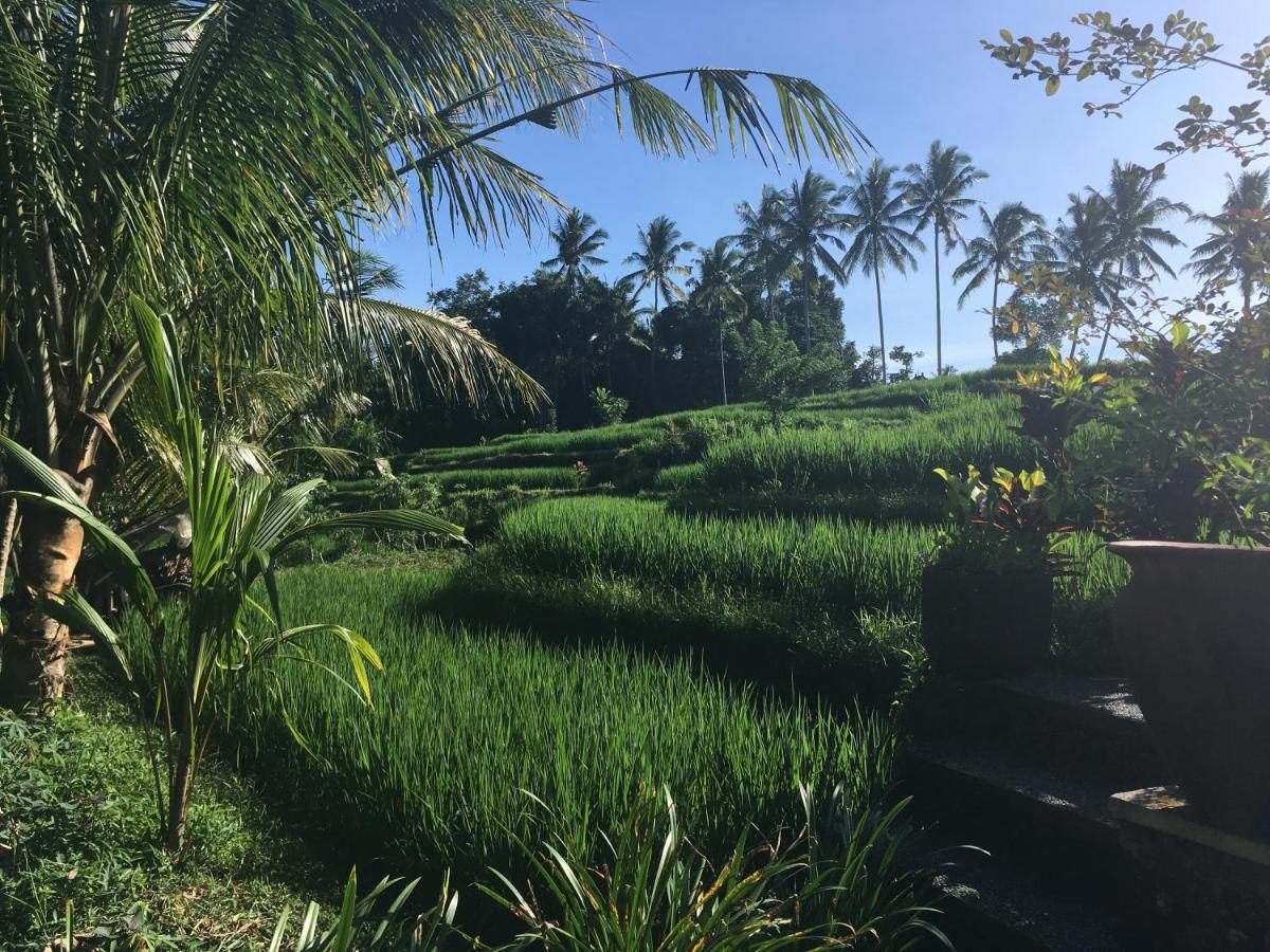 Puri Raya Villa Убуд Экстерьер фото