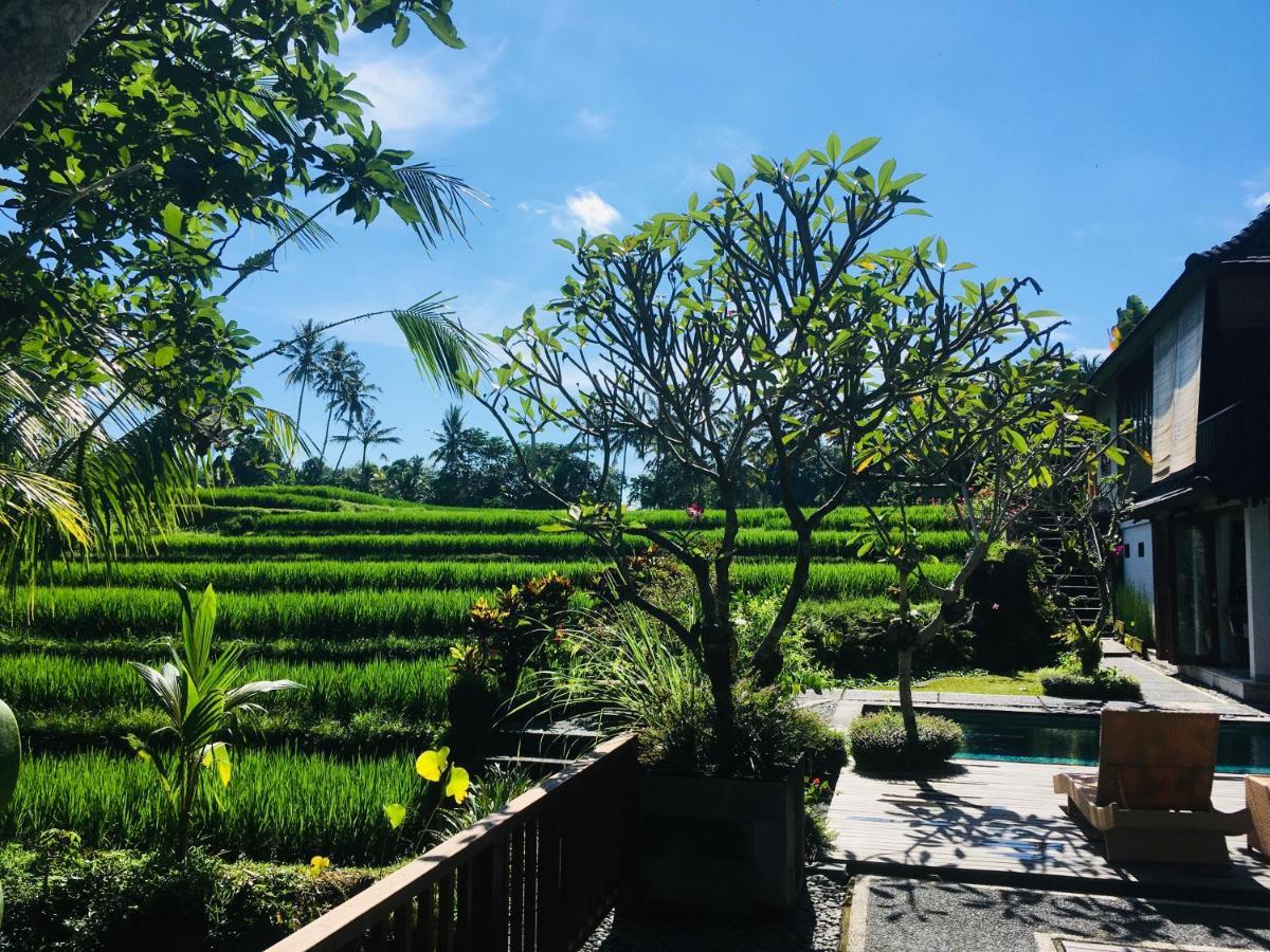 Puri Raya Villa Убуд Экстерьер фото