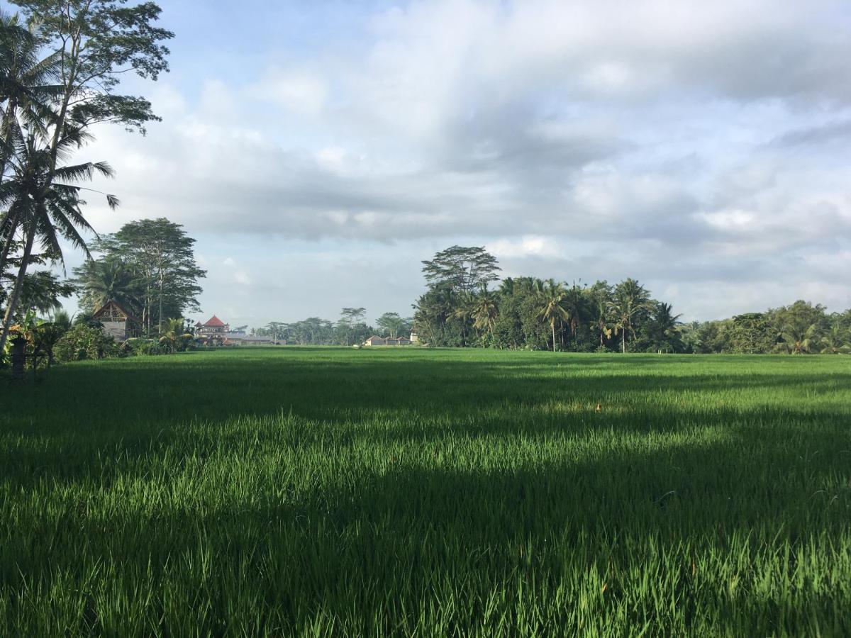 Puri Raya Villa Убуд Экстерьер фото