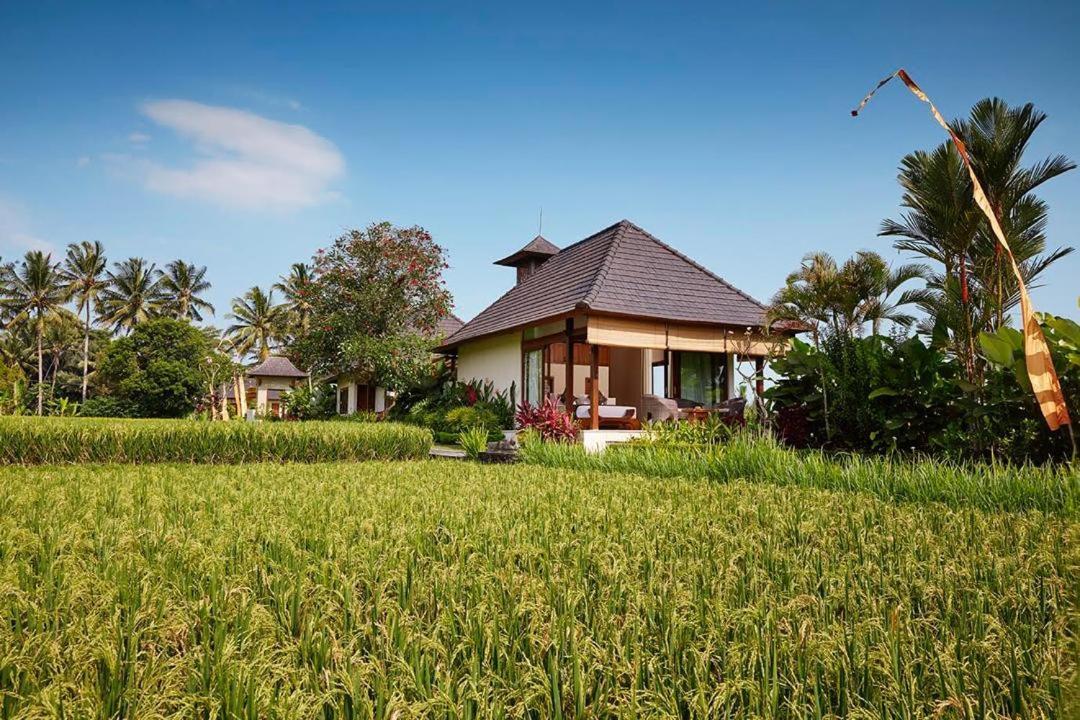 Puri Raya Villa Убуд Экстерьер фото