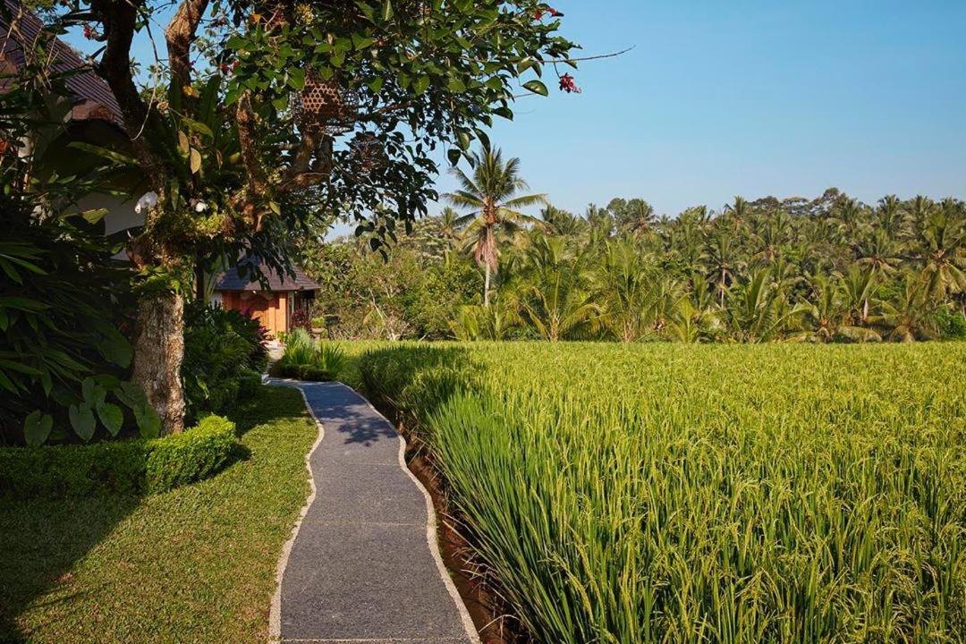 Puri Raya Villa Убуд Экстерьер фото