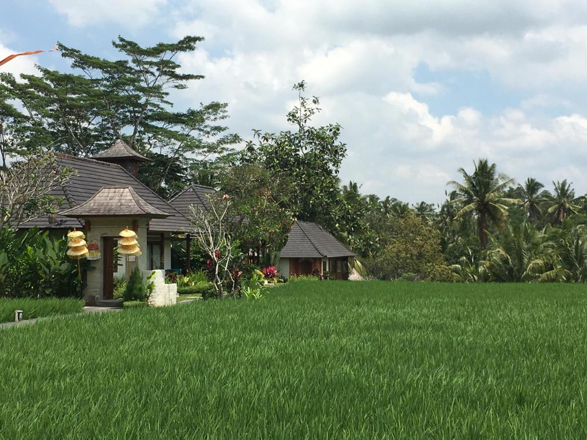 Puri Raya Villa Убуд Экстерьер фото