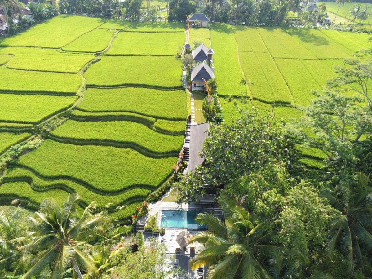 Puri Raya Villa Убуд Экстерьер фото